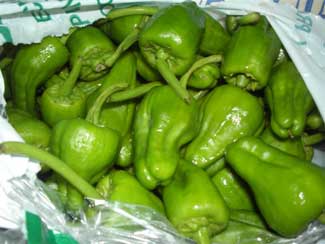 Pimientos del padr�n