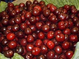 Picota Jerte