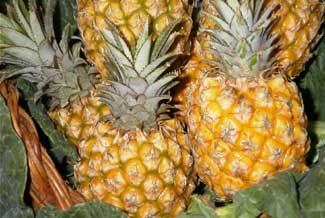 Pi�a  peque�a