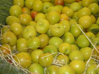 Ciruela tolosa