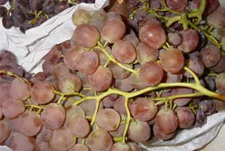 Uva rosada