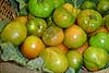 tomate verde raff
