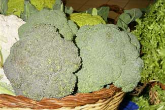 Brècol
