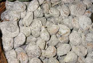 Figues