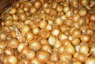 Cebes de platillo